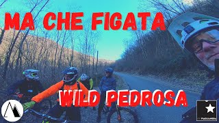 MA CHE FIGATA WILD PEDROSA...#mtb #trail...
