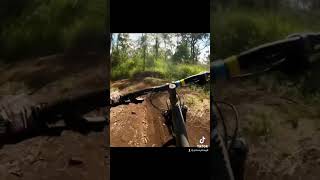 Dodge the trees #bikeshorts #mountainbike...