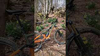 R01. Jaiotze Basatia. Nacimiento salvaje MTB...