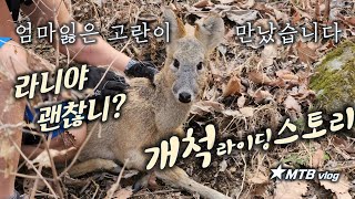 길잃은 고라니를 만났습니다 /...