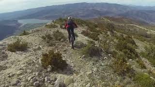 Rocalta