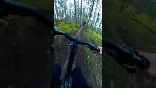 This Flow Trail is ULTIMATE!!