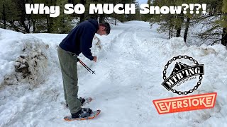 Snow Shoes for the 1st Time - Everstoke Status