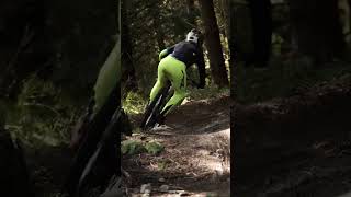Are mullets the best cornering bikes?