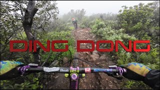 First Ride Down Ding Dong / Back on Yeti SB165...
