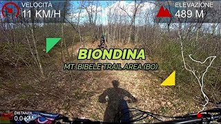 Biondina, Mt. Bibele (BO), 25-03-2023