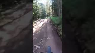 Down that sketch mountain road!
