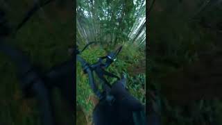 This Huge Overshoot was INSANE!