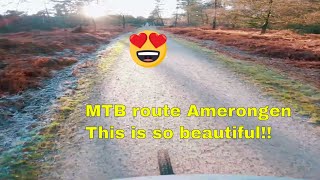 Flowy singletrack Amerongen: mtb Utrechtse...