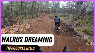 Walrus Dreaming - George Town Tippogoree Hills...