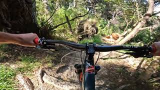 Groms @ Mt Vic. Wellington