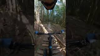 The longest ladder bridge ride in the World ...