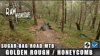 GOLDEN ROUGH + HONEYCOMB | Sugar Bag Rd | RAW...