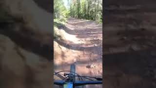 COLD River Crossing