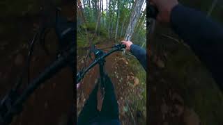 Natural Rock Hops!