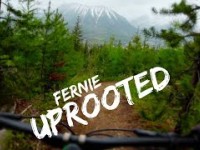 Another amazing fernie trail - Uprooted