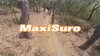 MaxiSuro