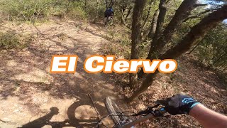 El Ciervo
