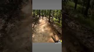 Flow mountain #boomerangfarmbikepark...