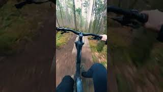 Vancouver Island's Best FLOW Trail?! Loam Line