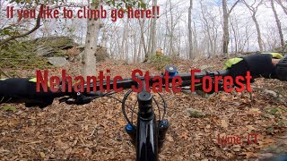 Nehantic State Forest