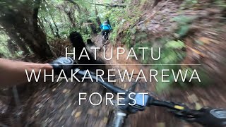 Hatu Patu - Whakarewarewa Forest - Rotorua,...