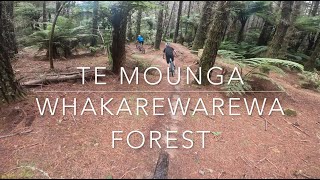 Te Mounga - Whakarewarewa Forest - Rotorua,...