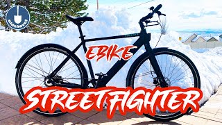 eBike StreetFighter Build - TENWAYS CGO600 Pro