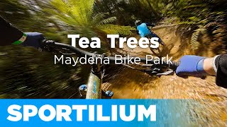 Tea Trees  \\  Maydena Bike Park