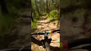 How good! #downhill #mountainbike #bikeshorts...