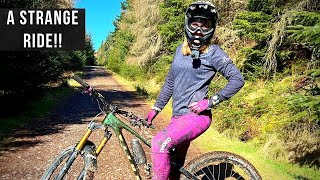 Finding something weird & fun at...