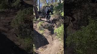 Freewheel/Figuerolles