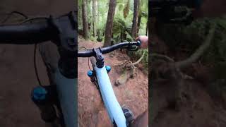 Bunny Jugs - FULL trail in 50 sec