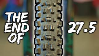 This will be my  27.5' Mountain Bike