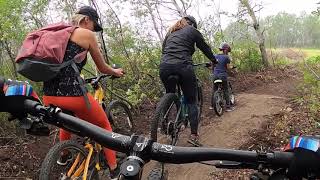Hayleebird (full lap)