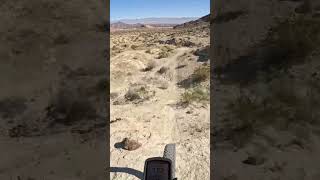 Desert Fun