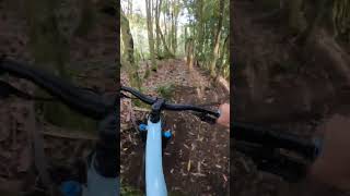 Unbelievable FUN trail NOW open!!! Corridor...
