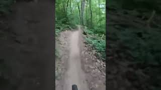 D! T! E! Send it!