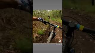 New Ipswich trail #bikeshorts #mountainbike...