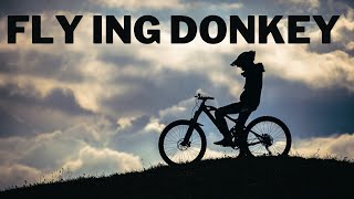The Coolest MTB Trail in California: Box...