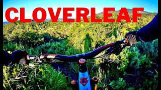 Pedaling Through Paradise: Incredible Bike...