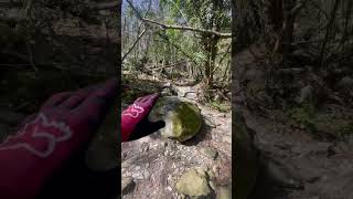 Karma trail!