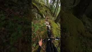 Ripping an insane looking trail in my...