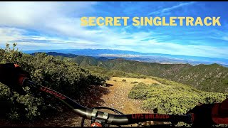 Maple Springs:   HIDDEN SECRET SINGLE TRACK