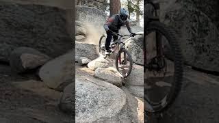 Gunsmoke rock garden#shorts #videoclip #tiktok...