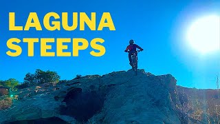 Ants Trail Carpet muncher Trail-LagunaSteeps...