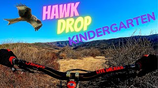 Hawk Drop Kindergarten #mountainbike  #bike...
