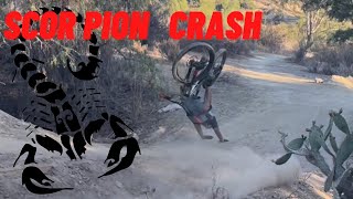Scorpion crash#otb #mtbshorts #mtbcrash