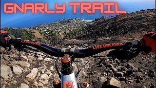 How to ride gnarly trail#gnarly #yt #ytviral