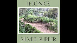 Telonics Vs Silver Surfer. #mountainbike #bike #yt